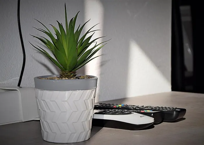 Maris 아파트 자다르